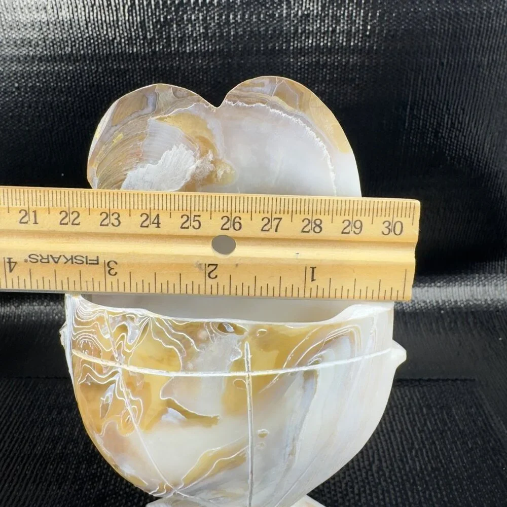 Vintage Mother of Pearl Nautalis Shell Footed Vase‎ Shiny Finish Hand Made Vase